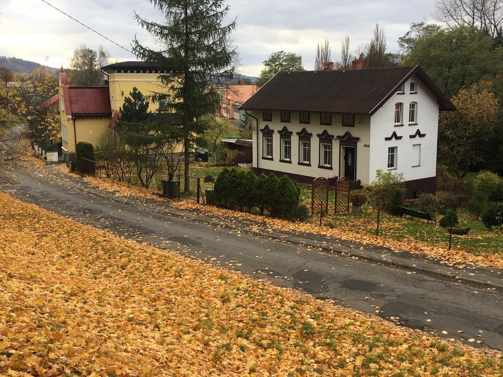 Апартаменты Apartament Halina Лёндек-Здруй Экстерьер фото