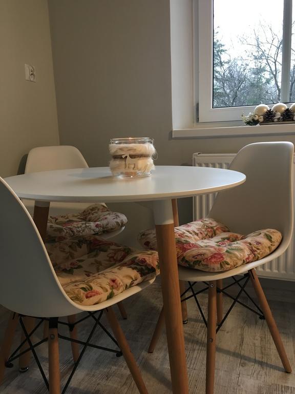Апартаменты Apartament Halina Лёндек-Здруй Экстерьер фото
